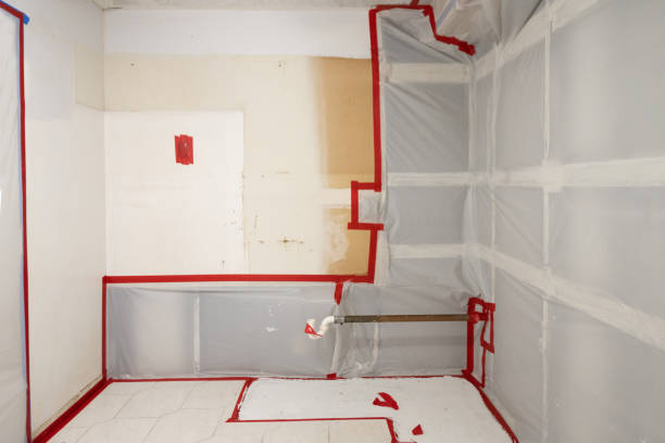Best Environmental Consulting for Mold Prevention  in Rocky Point, NC
